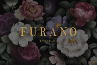 Furano: A Bold Display Font for Professional Branding