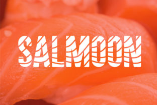 Salmoon: A Designer's Honest Review for Real Projects